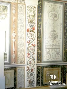 Interior Paint: grotesques squirrel